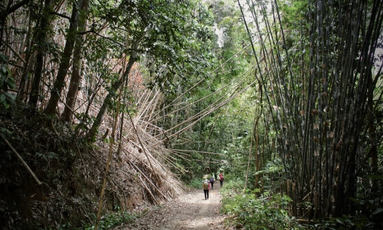 hiking route in malaysia